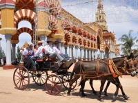 Nuestra Señora de la Salud: la Feria de Córdoba