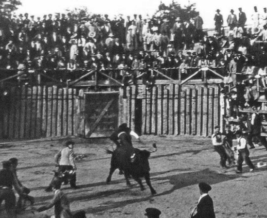 Toros en Carabanchel