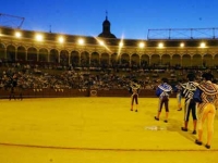 Summer nights at Las Ventas and the Maestranza of Seville