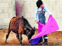 The dream of being a bullfighter