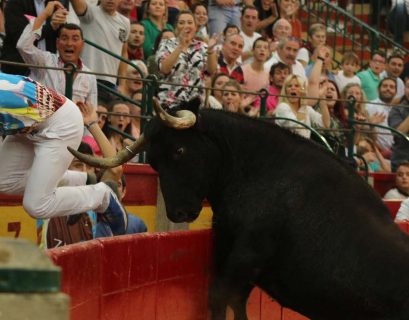 recortadores con anillas zaragoza