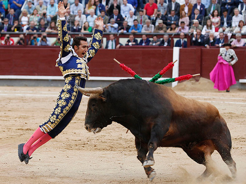 torero El Fandi, poniendo banderillas en Las Ventas