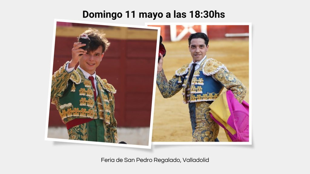 Feria de San Pedro Regalado - 11 mayo Valladolid
