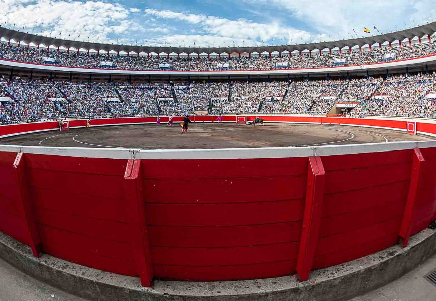 Plaza de toros de Bilbao, Vista Alegre. Servitoro