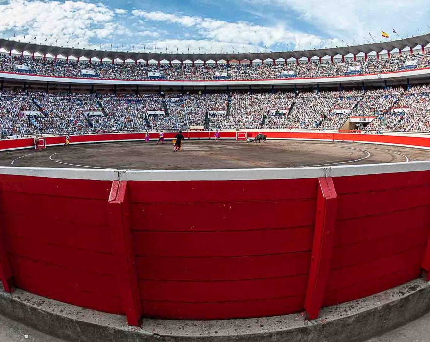 Plaza de toros de Bilbao, Vista Alegre. Servitoro