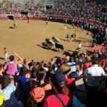 Plaza de toros de San Sebastián de los Reyes (Madrid) - encierros