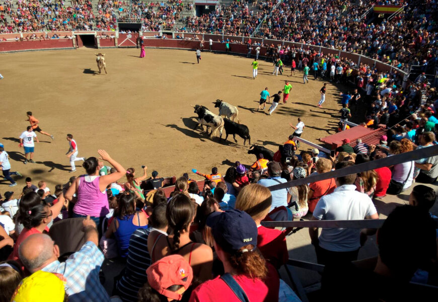 Plaza de toros de San Sebastián de los Reyes (Madrid) - encierros