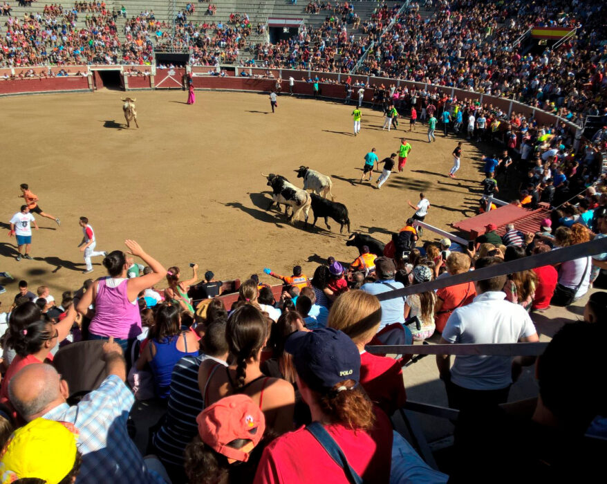 Plaza de toros de San Sebastián de los Reyes (Madrid) - encierros