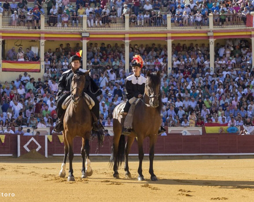 Plaza de toros de Cuenca, Feria de San Julián 2025
