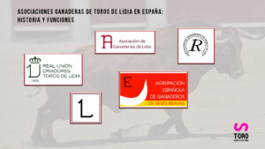 Asociaciones ganaderas de toros de lidia en España
