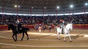 Toros en Valdemorillo