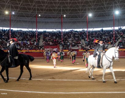 Toros en Valdemorillo