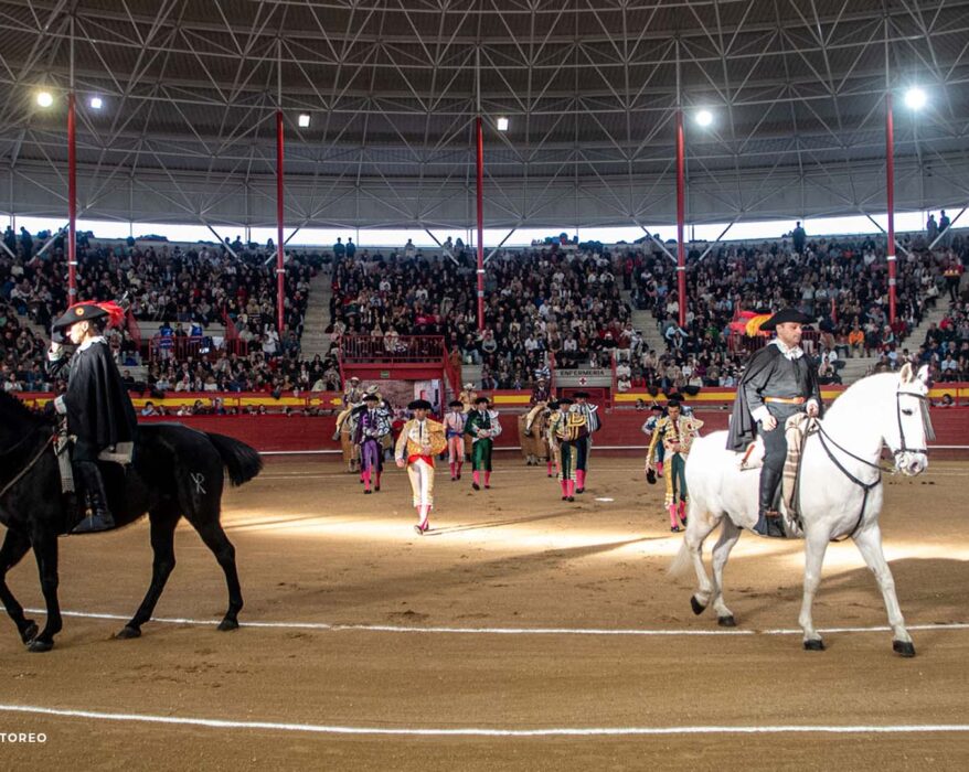Toros en Valdemorillo