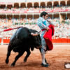 Morante toreando en Salamanca