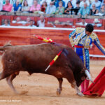 Torero Morante
