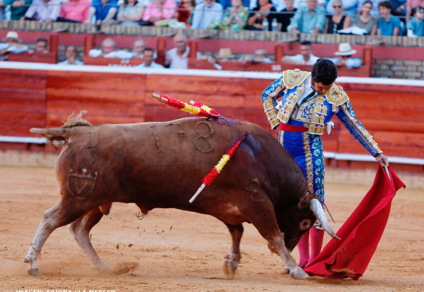 Torero Morante