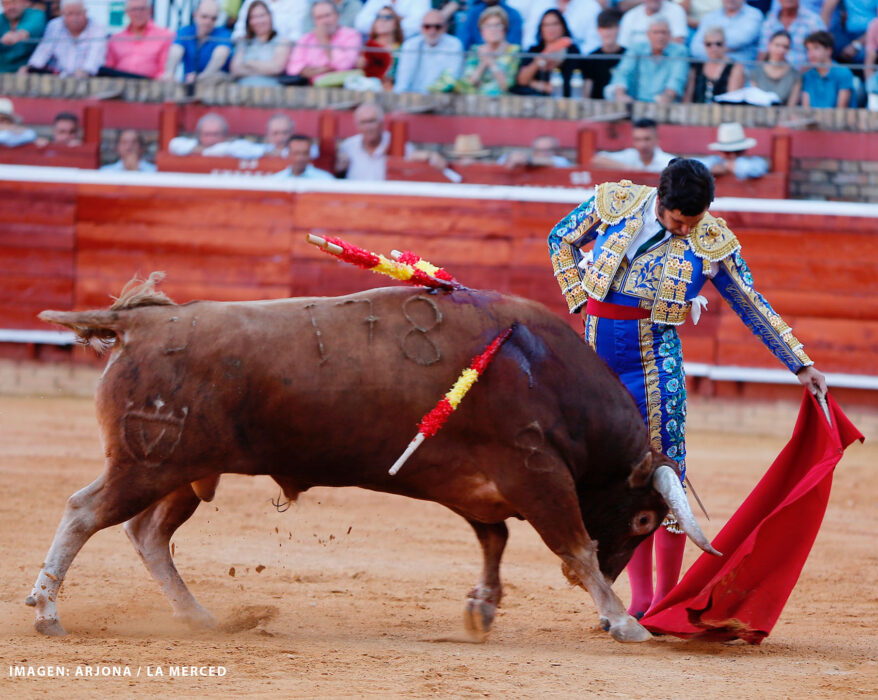 Torero Morante