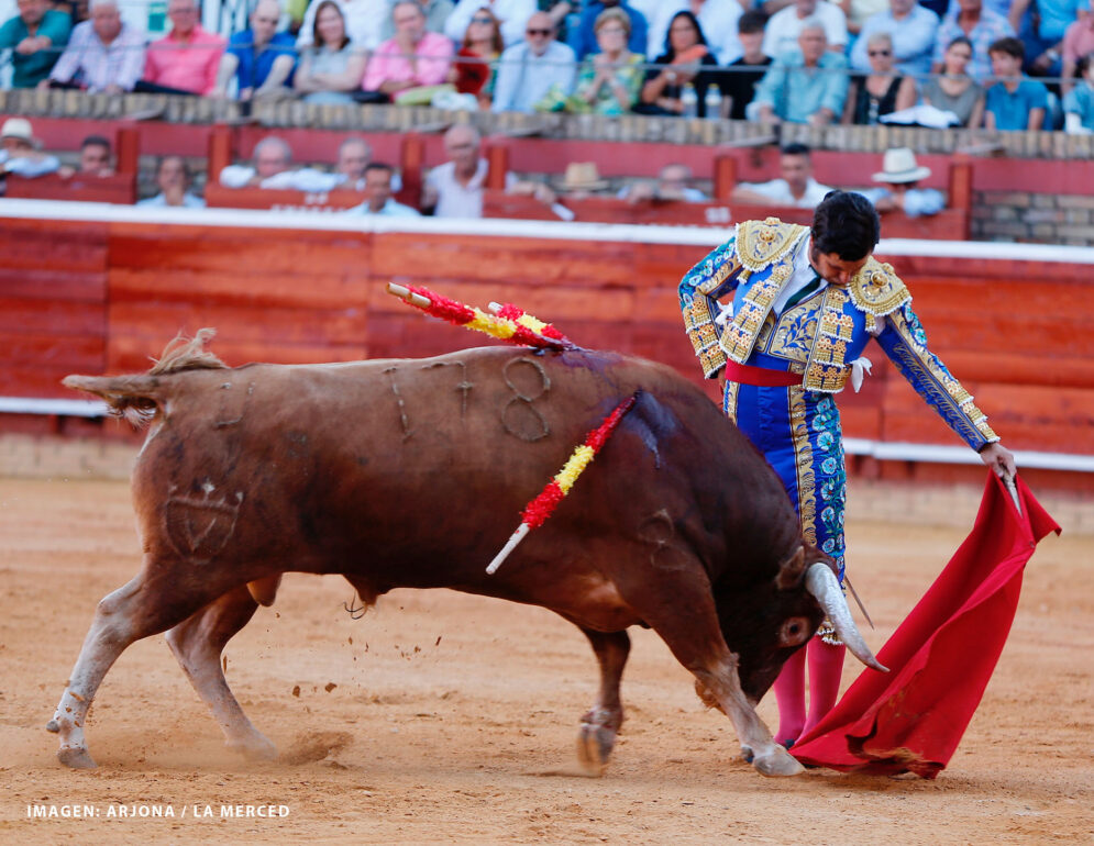Torero Morante