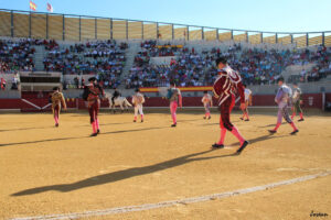 Toros Almodóvar del Campo