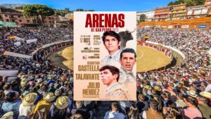 Arenas de San Pedro